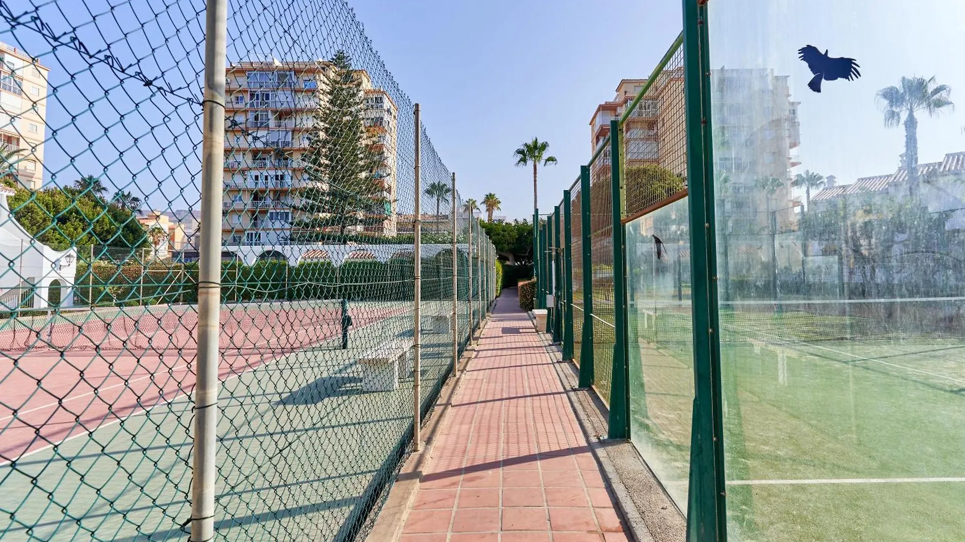 Las Palmeras A92 Malaga 0*,